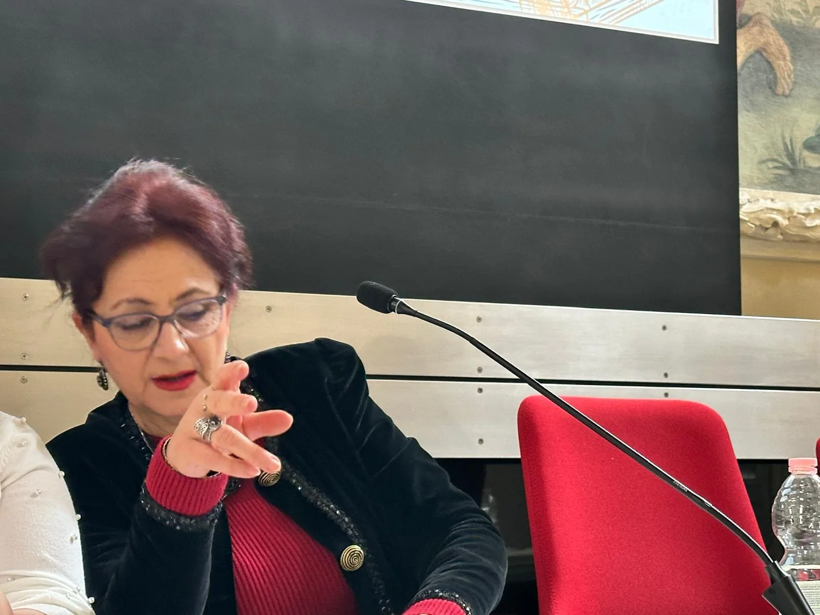 Veranstaltung des Albanologischen Instituts Graz – Bild 31